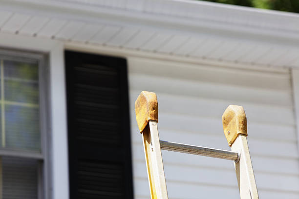 ### Historical Building Siding Restoration